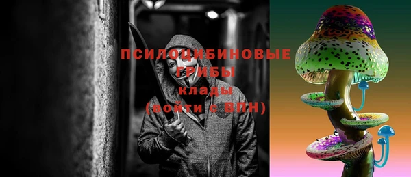 PSILOCYBIN Алзамай