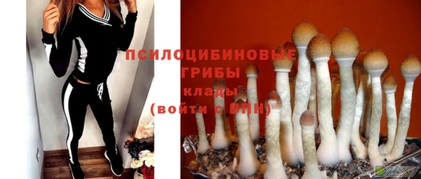 стафф Алексин