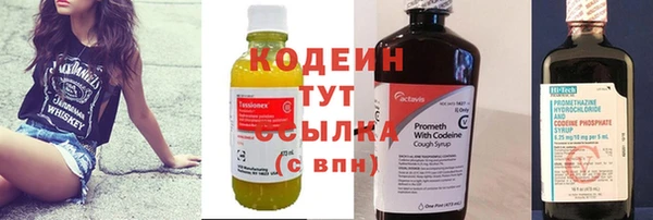 PSILOCYBIN Алзамай