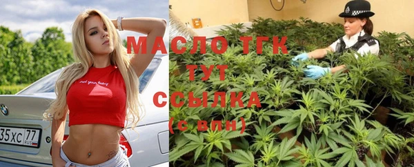 PSILOCYBIN Алзамай