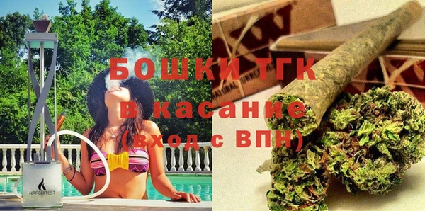 стафф Алексин