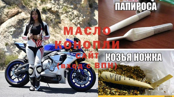 PSILOCYBIN Алзамай