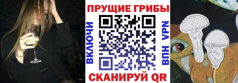 купить   Сельцо  Псилоцибиновые грибы Cubensis 